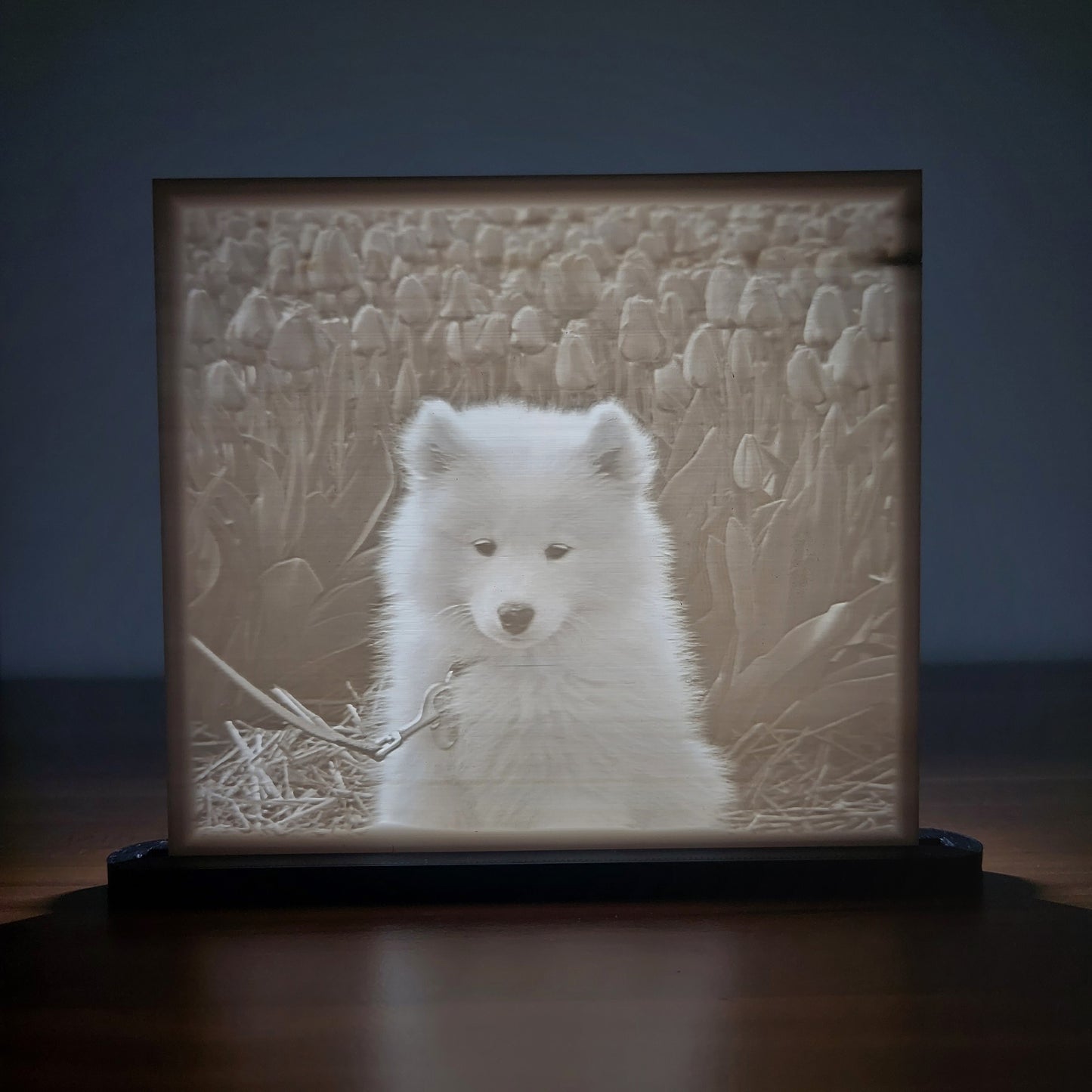 Lithophanie mit LED Beleuchtung (Wunschbild)